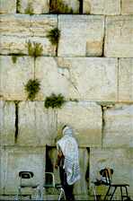 western wall.jpg (5794 bytes)